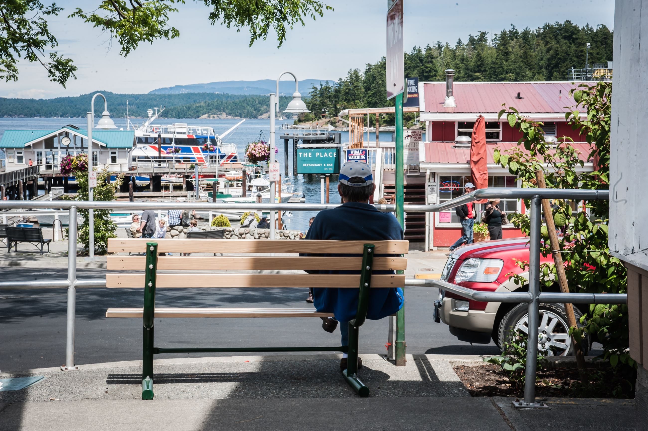 Man Sitting on Bench